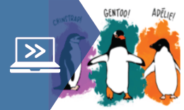 Machine Learning Methods: Clustering courseware module