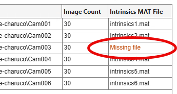 Missing intrinsic parameters MAT file.