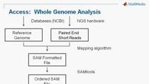 In this webinar you learn how to perform Next Generation Sequence (NGS) visualization and analysis using MATLAB and Bioinformatics Toolbox.  An applied ChIP-Seq example is used to illustrate key components of NGS analysis including:     Visualizing s